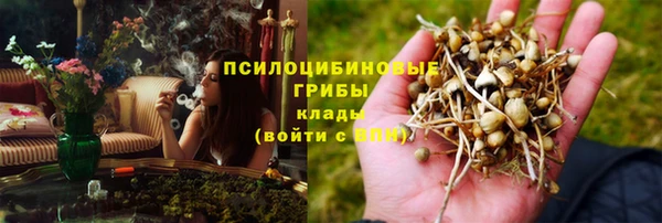 мет Аркадак